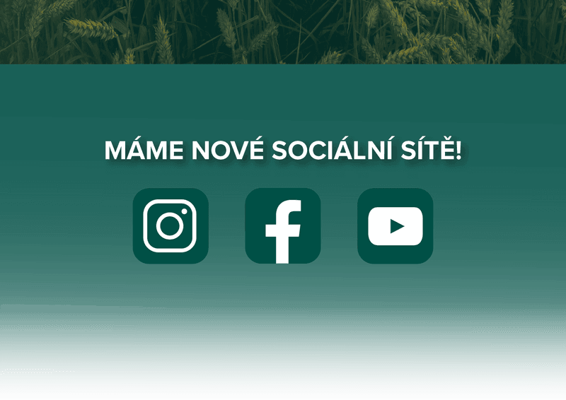 Spouštíme nové firemní sociální sítě