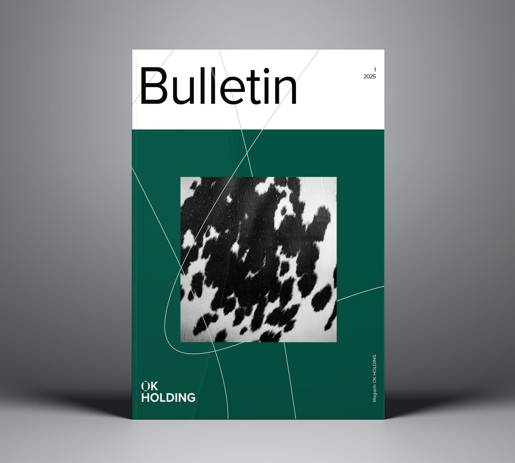 OK HOLDING BULLETIN 1/2025