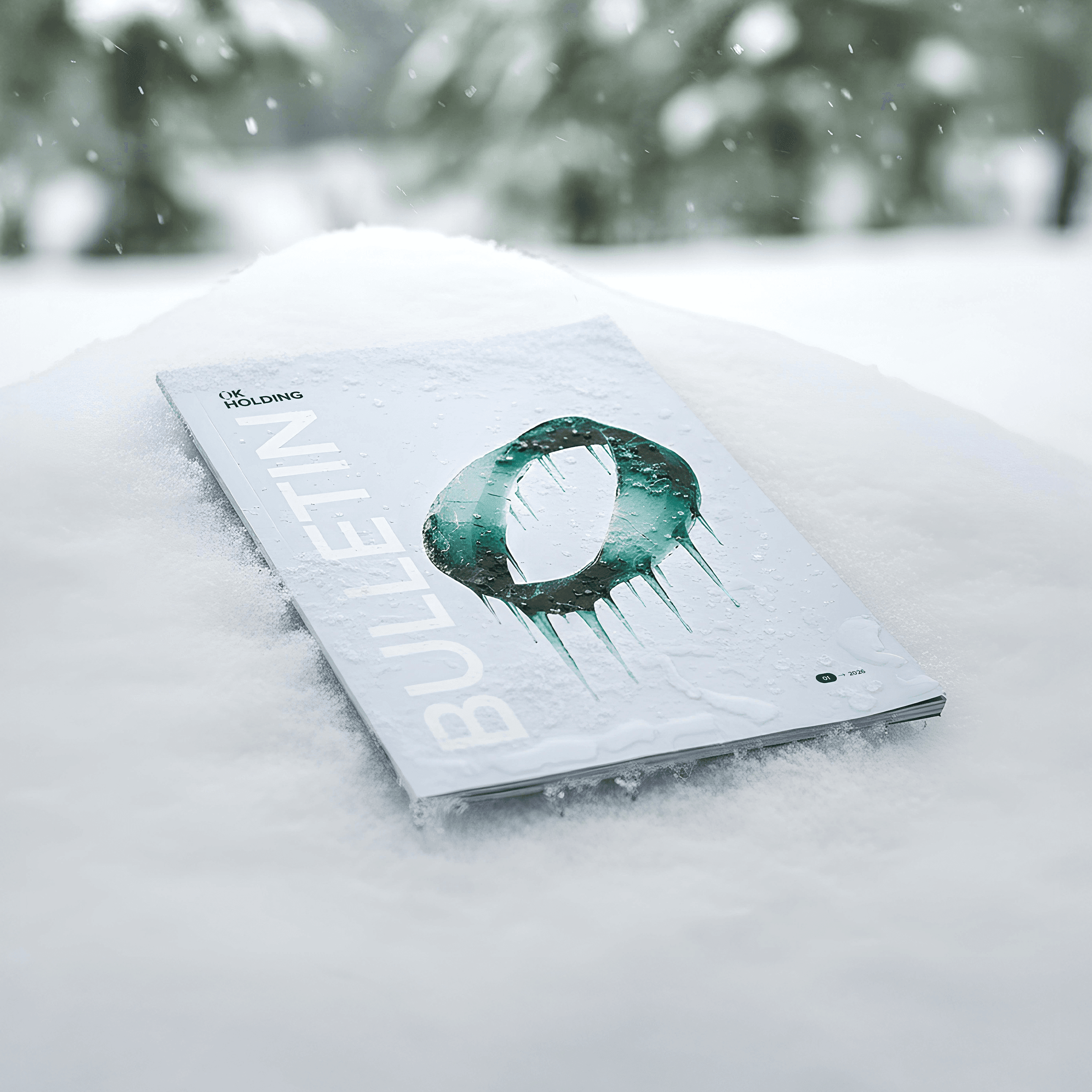 OK HOLDING BULLETIN 1/2026 – mockup