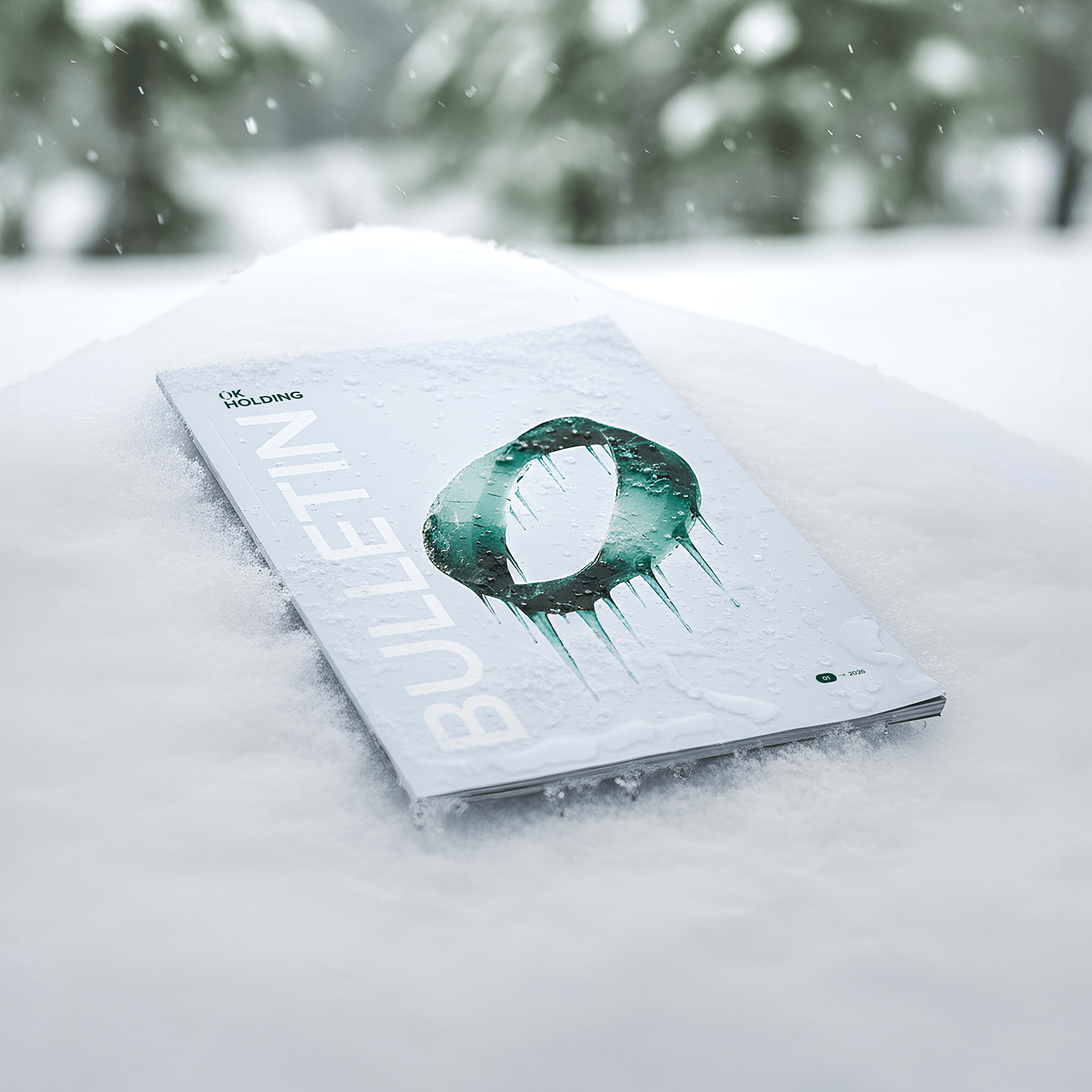 OK HOLDING BULLETIN 1/2026 – mockup