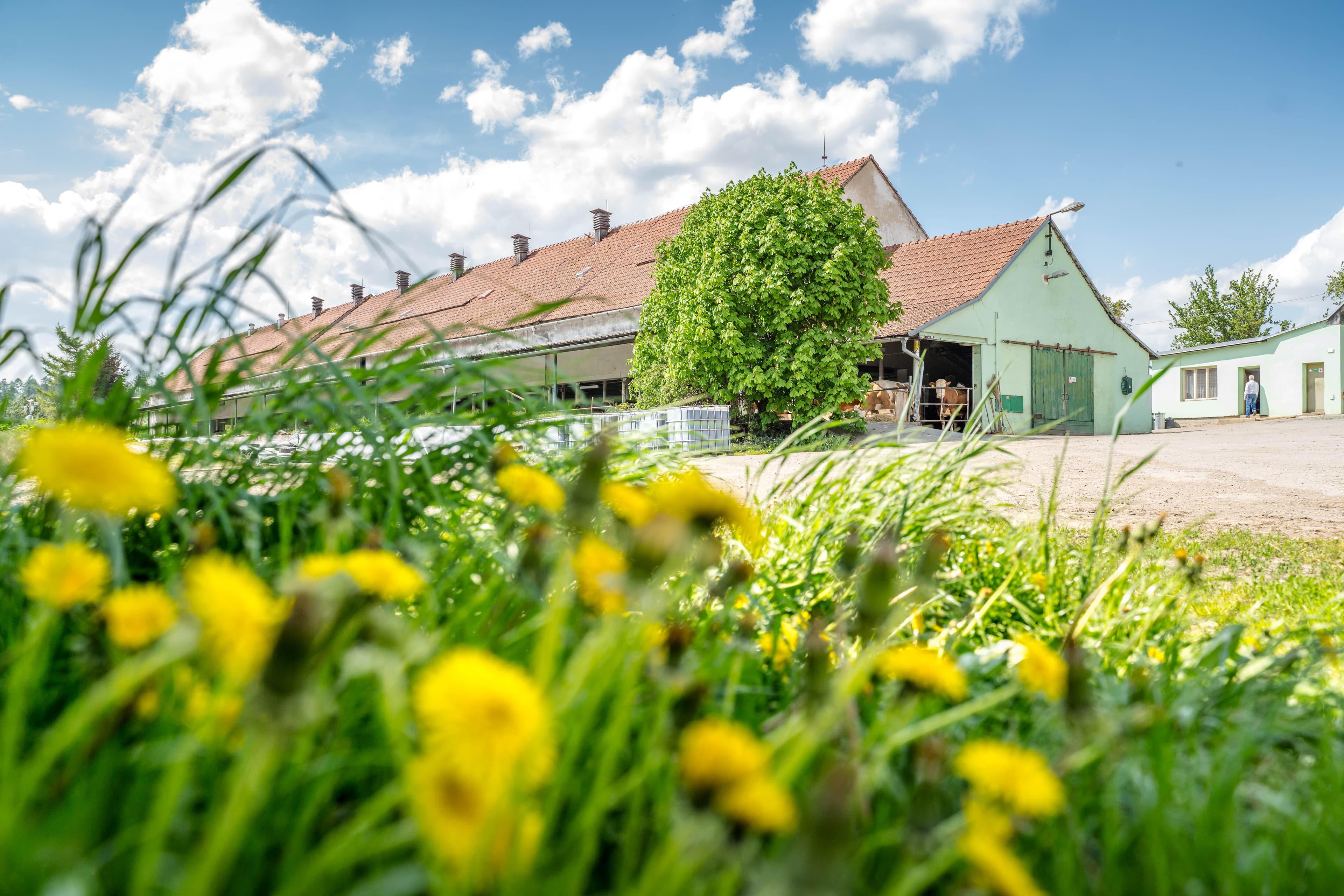 Poradenství Advigreen