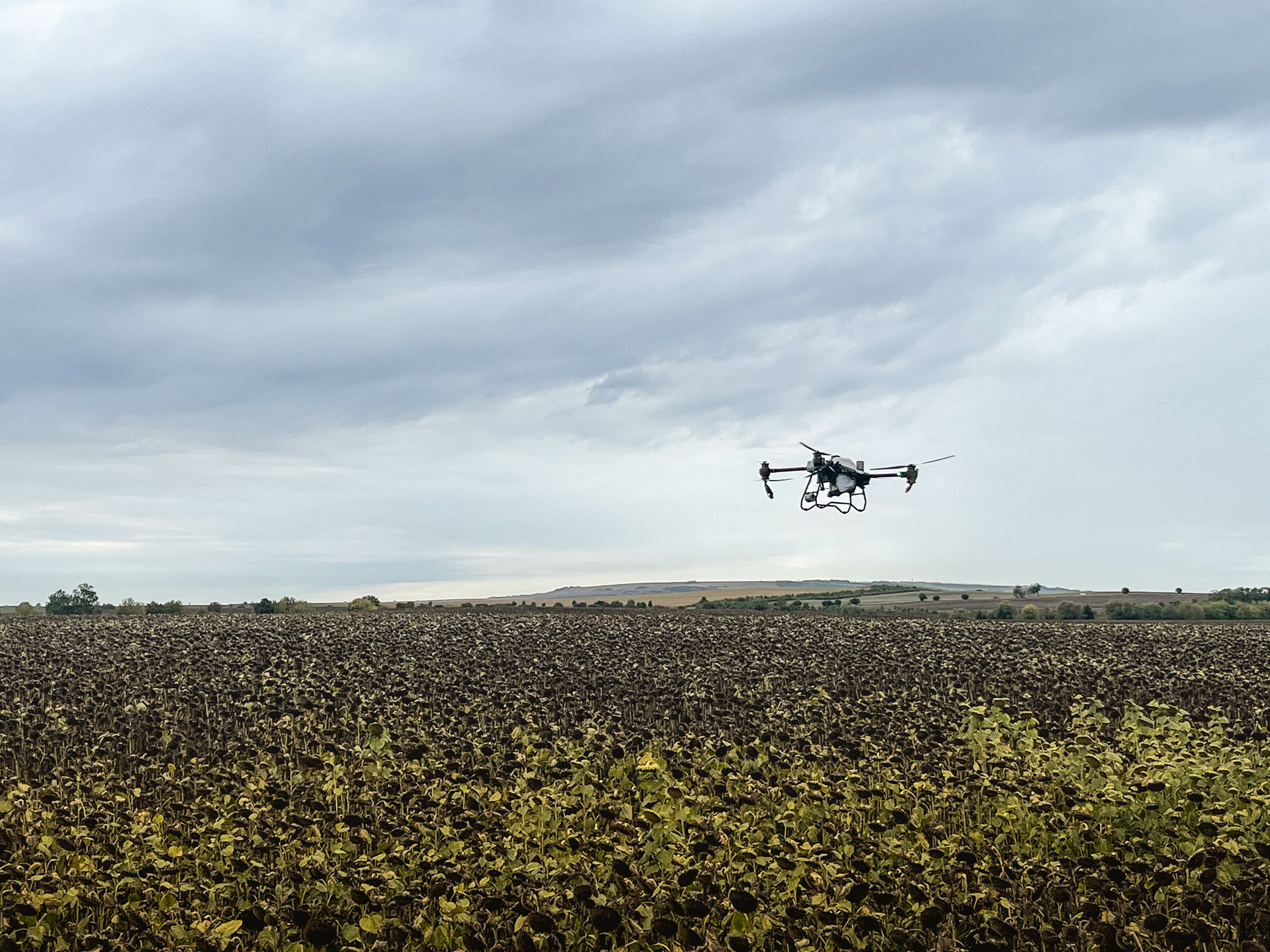 https://www.agroteam.cz/media/aktuality/obrazky/img-0384.jpg